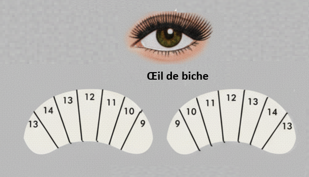 Œil de biche