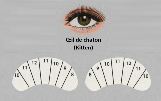 Œil de chaton
