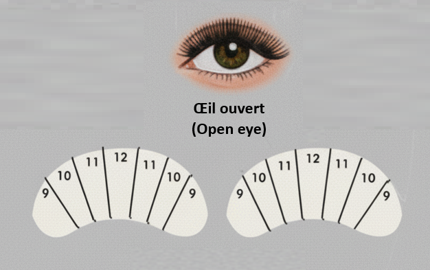 Œil ouvert